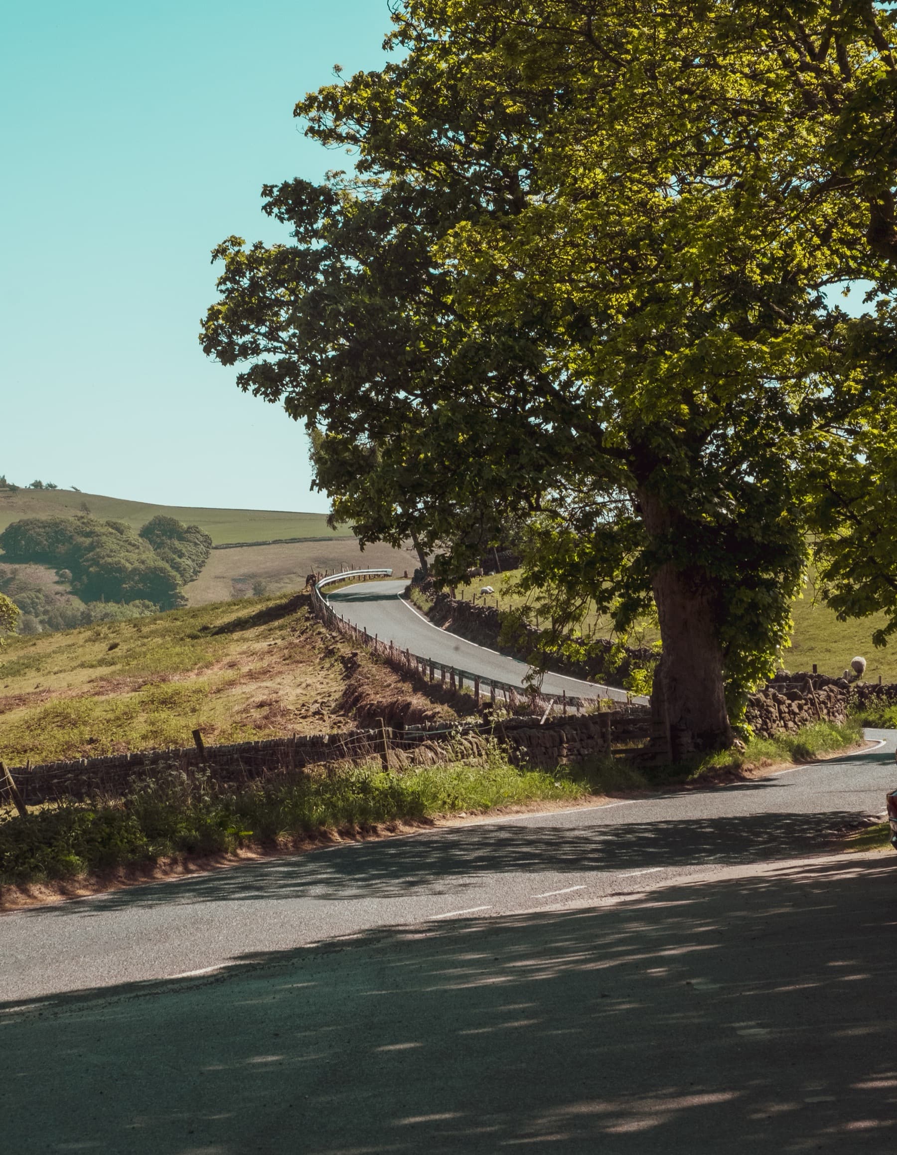 Winding country road under a large tree with stone walls and green hills stretching into the distance on a sunny day