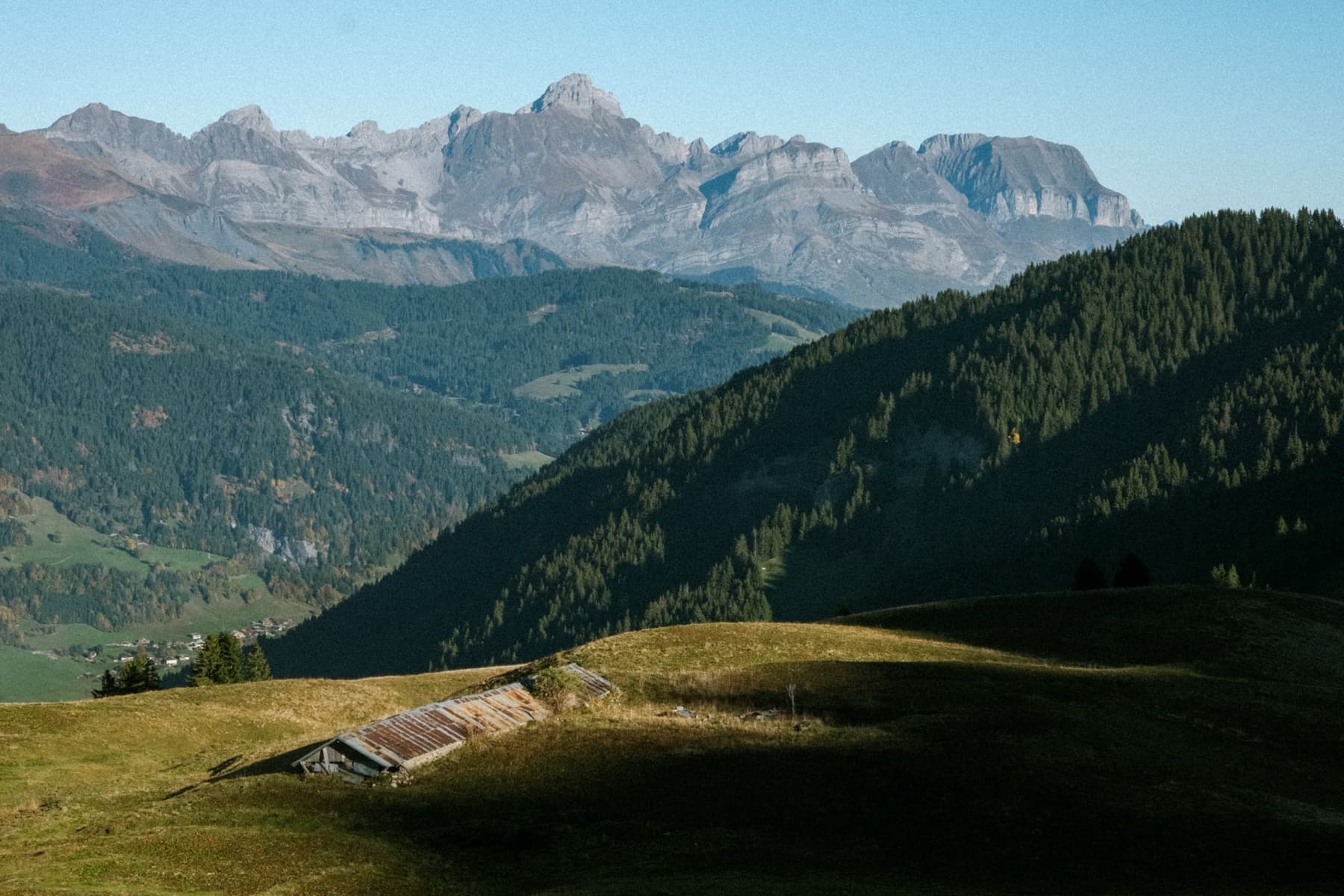 A rustic wooden barn on a sloping alpine meadow with dense pine forests and rugged limestone peaks rising in the background