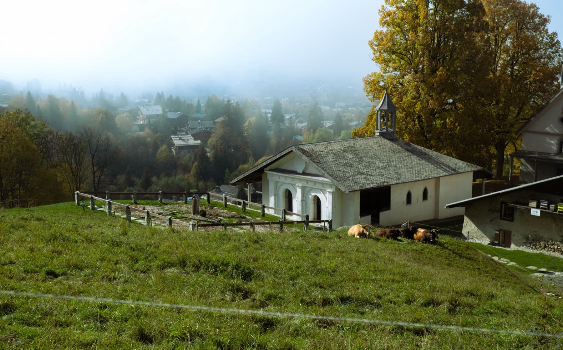 A small chapel with a bell tower surrounded by sheep on a green hillside with misty autumn trees and a village below in Megeve