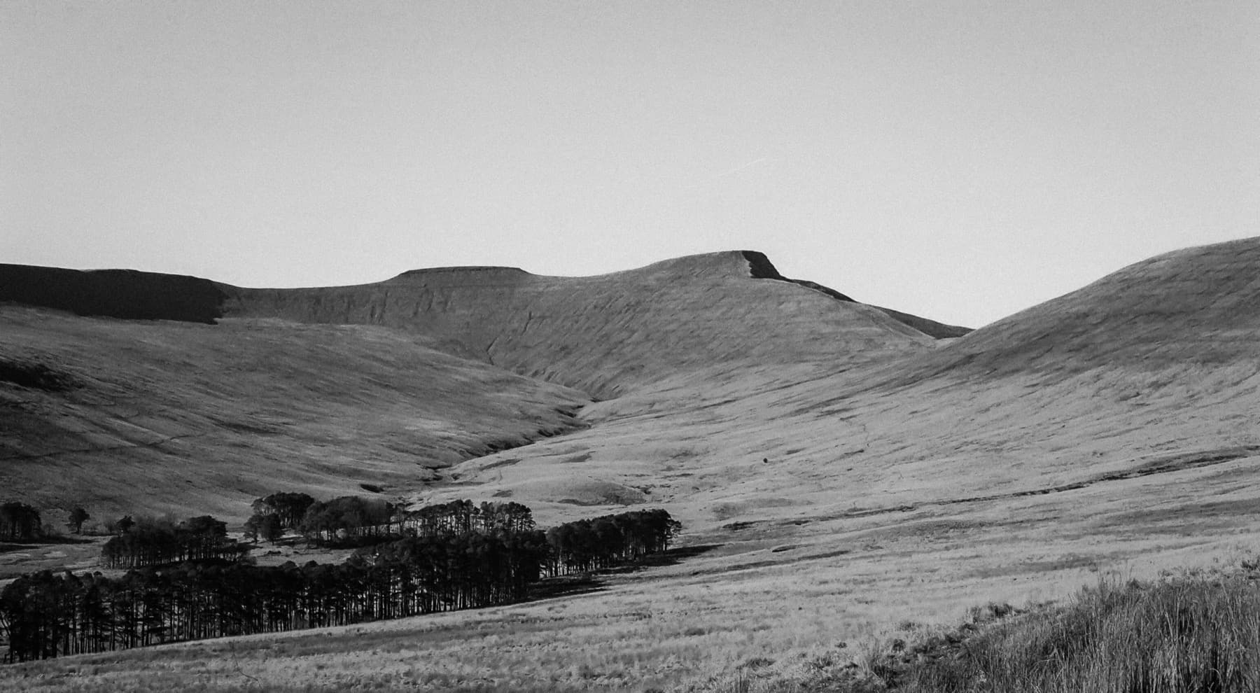 Pen y Fan and Corn Du ridgeline with a stand of trees at the base of the mountain seen from the approach path in black and white film