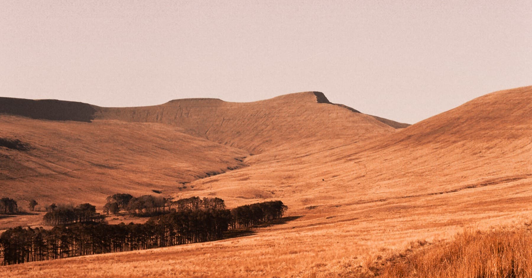 Brecon Beacons ridgeline with flat-topped summits and a copse of trees at the base in warm film tones