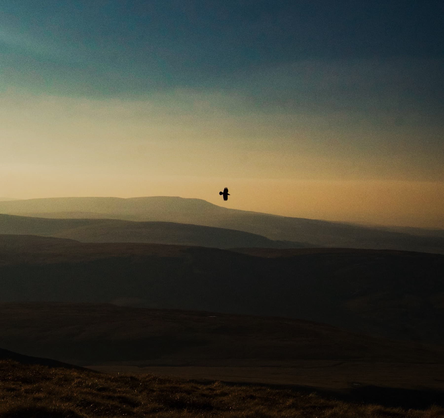 Silhouette of a bird in flight over layered Brecon Beacons ridges fading into a warm golden haze at sunset