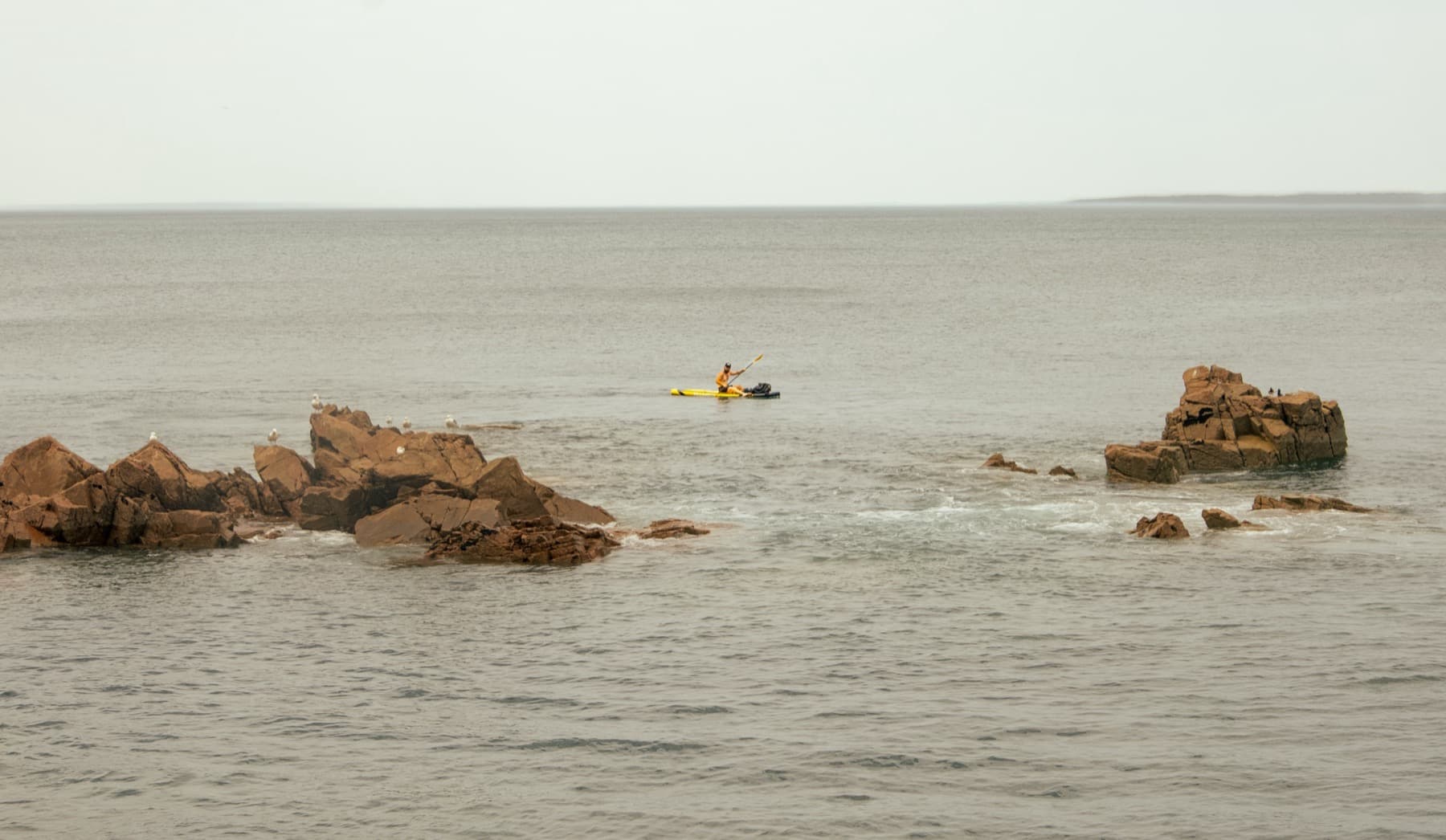 Sea kayaker in a yellow kayak paddling between brown rocky outcrops with seagulls perched on the rocks in calm grey water
