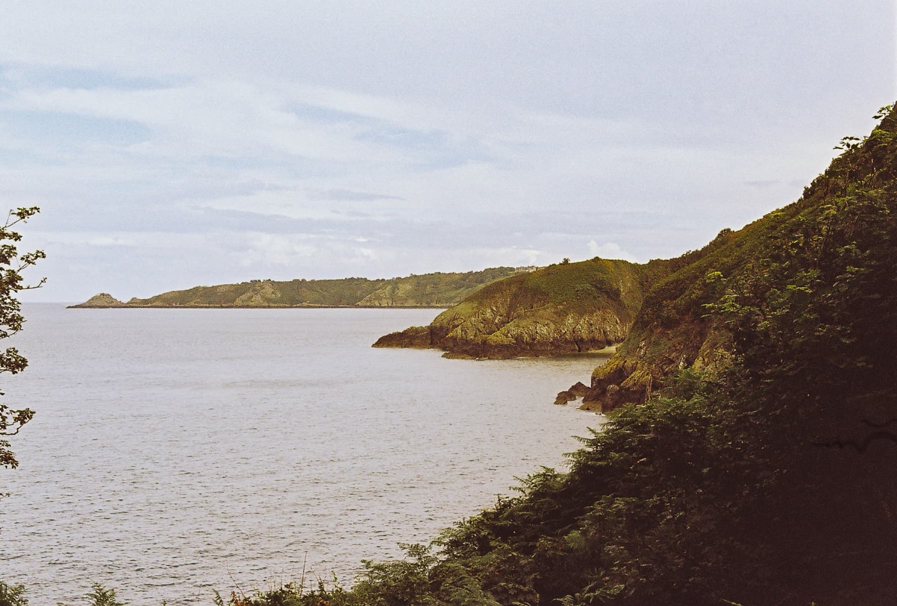 Sheltered cove framed by lush green headlands and ferns, with calm water and distant wooded hills under a hazy sky