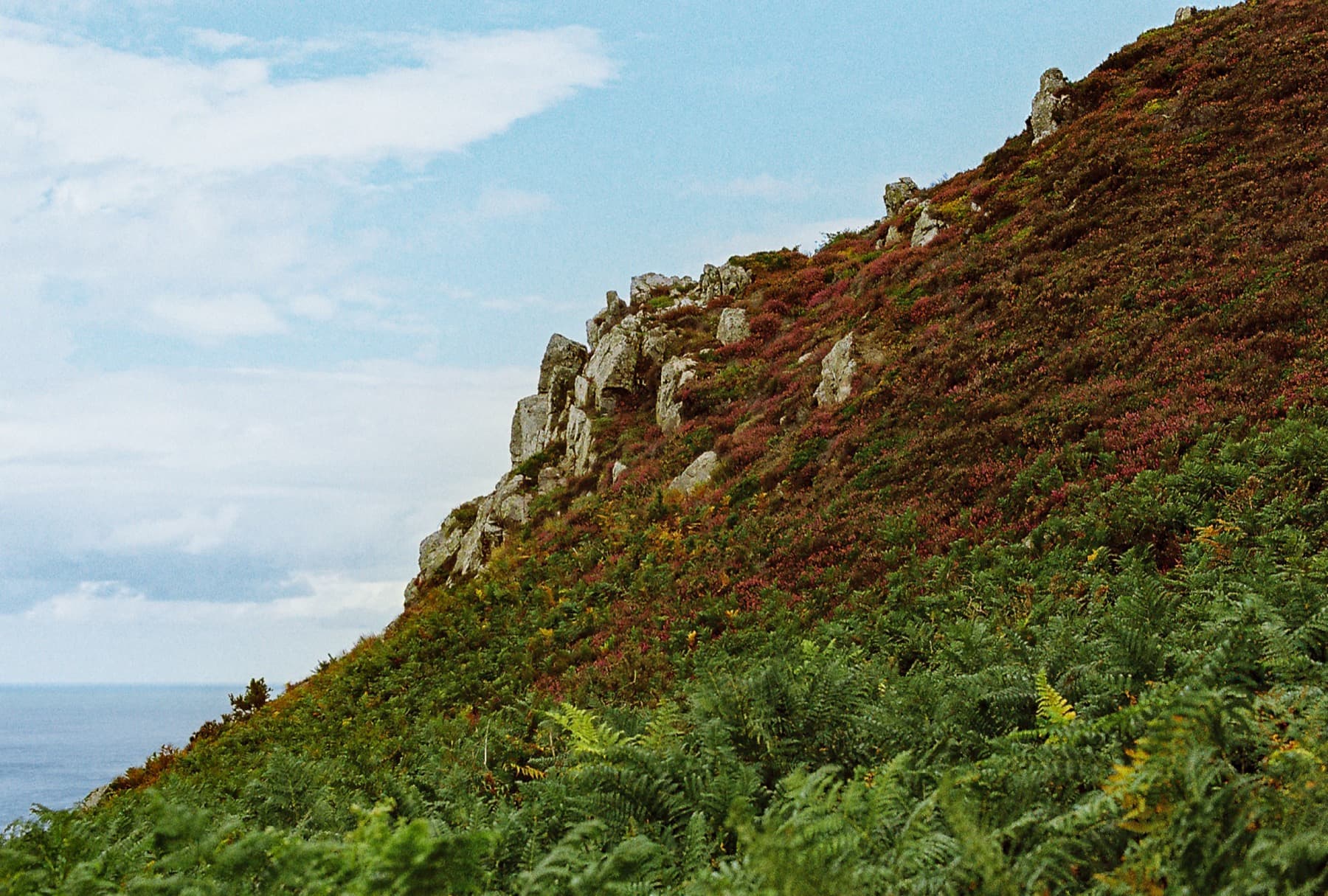 Rocky hilltop outcrop surrounded by red-brown heather and bright green ferns on a coastal cliff edge with the sea beyond