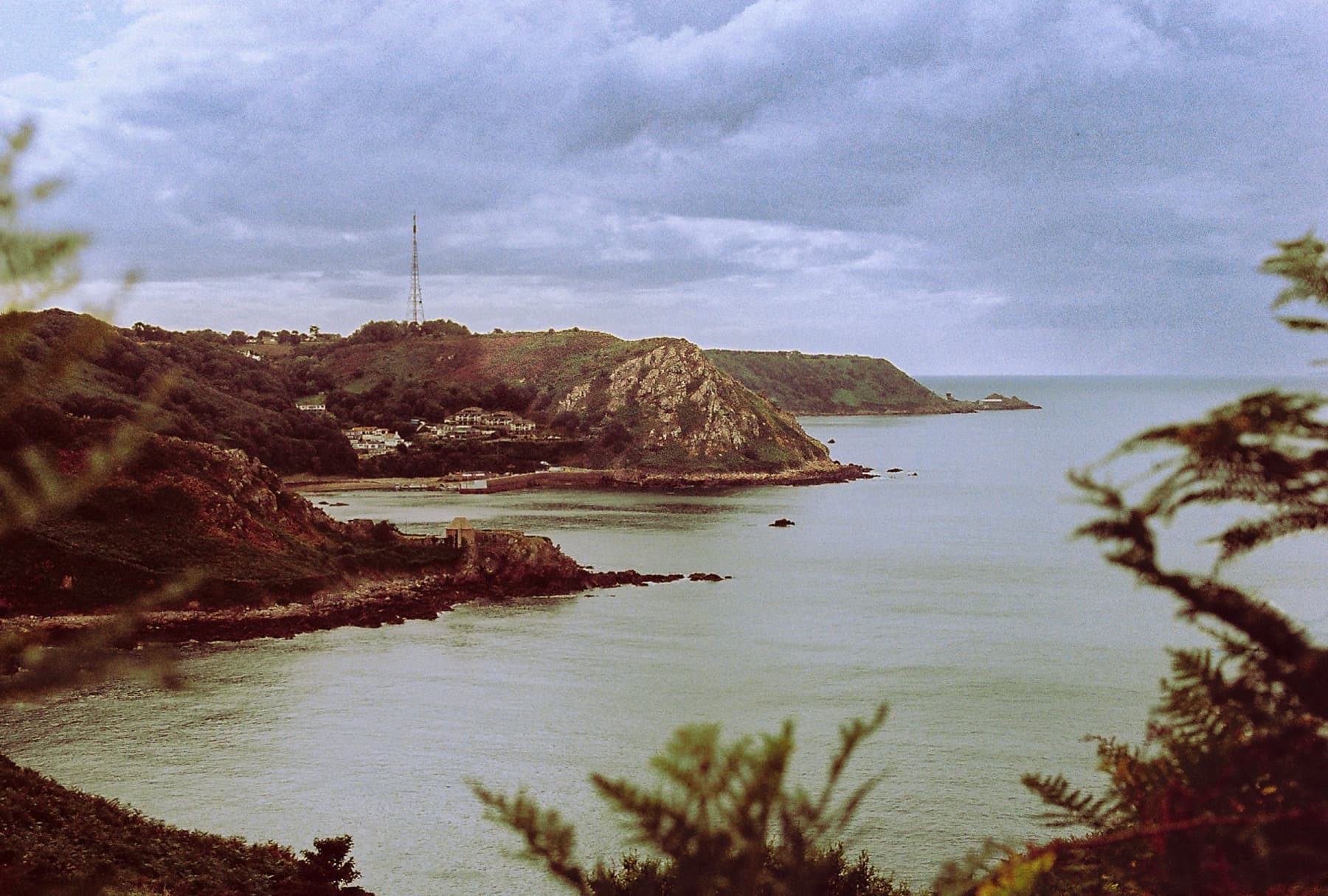 View across a bay toward a rocky headland with a communications tower and clustered buildings, framed by fern branches under moody grey clouds