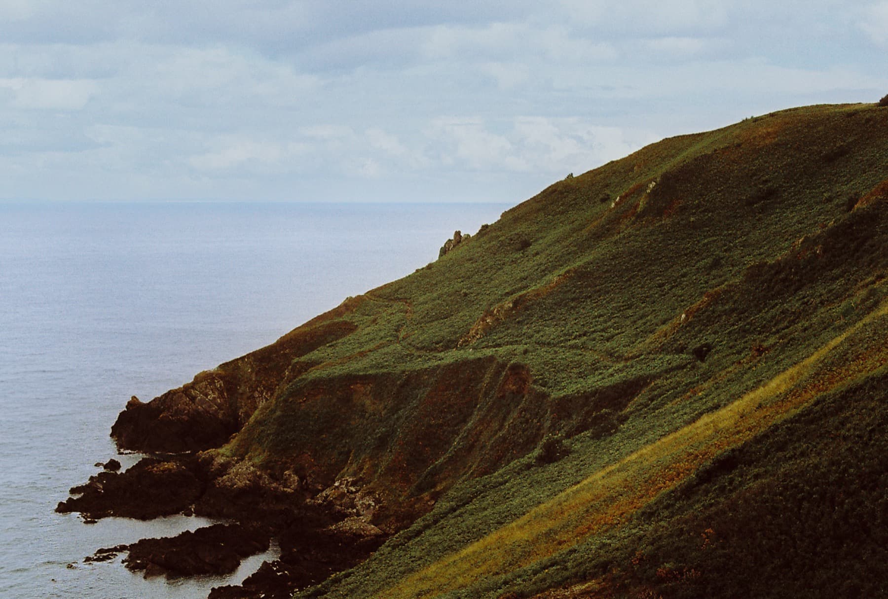 Steep green hillside covered in heather and gorse dropping down to dark rocky cliffs and calm sea under an overcast sky