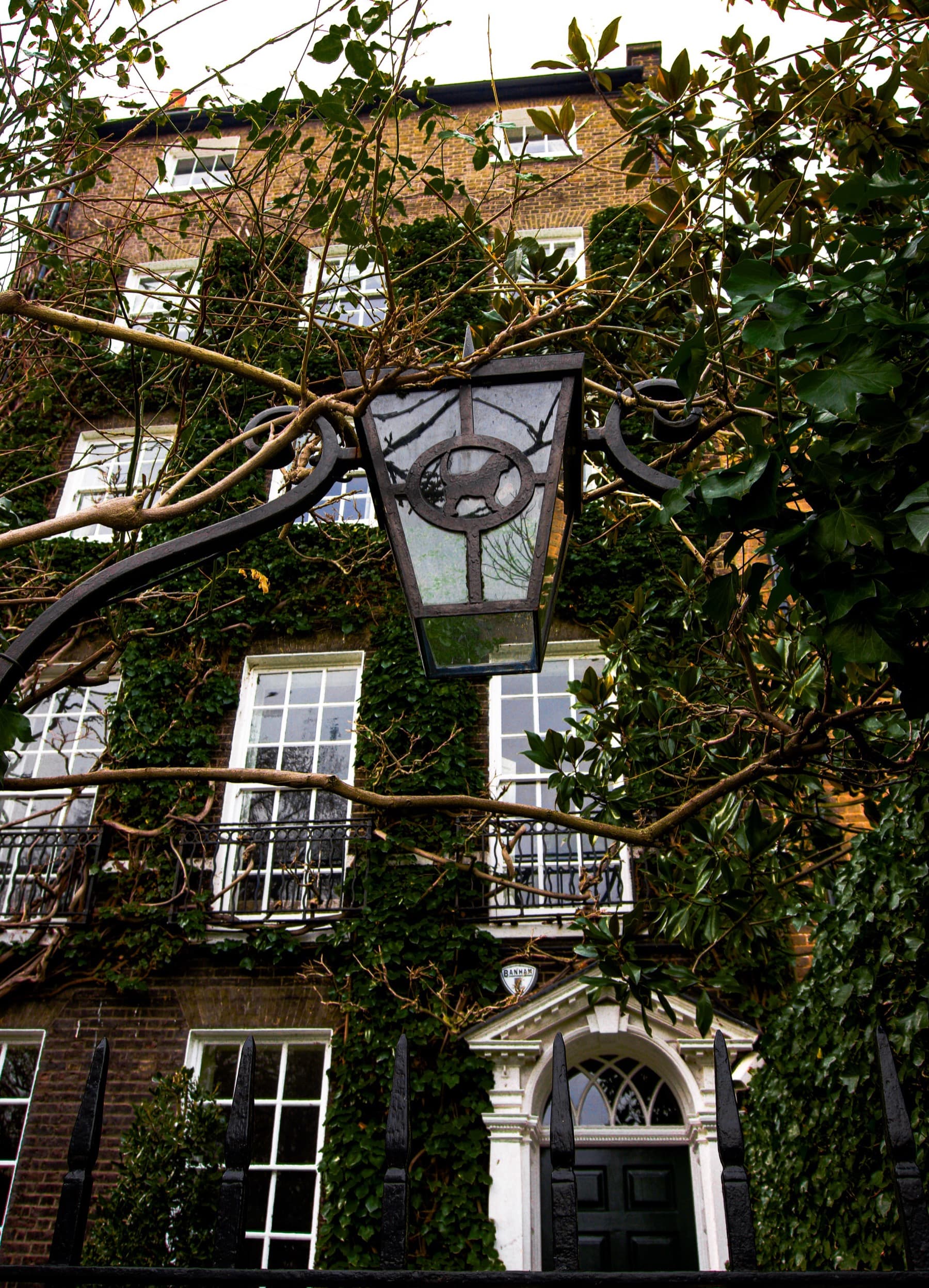 Ornate wrought-iron street lantern surrounded by ivy and branches in front of a Georgian townhouse