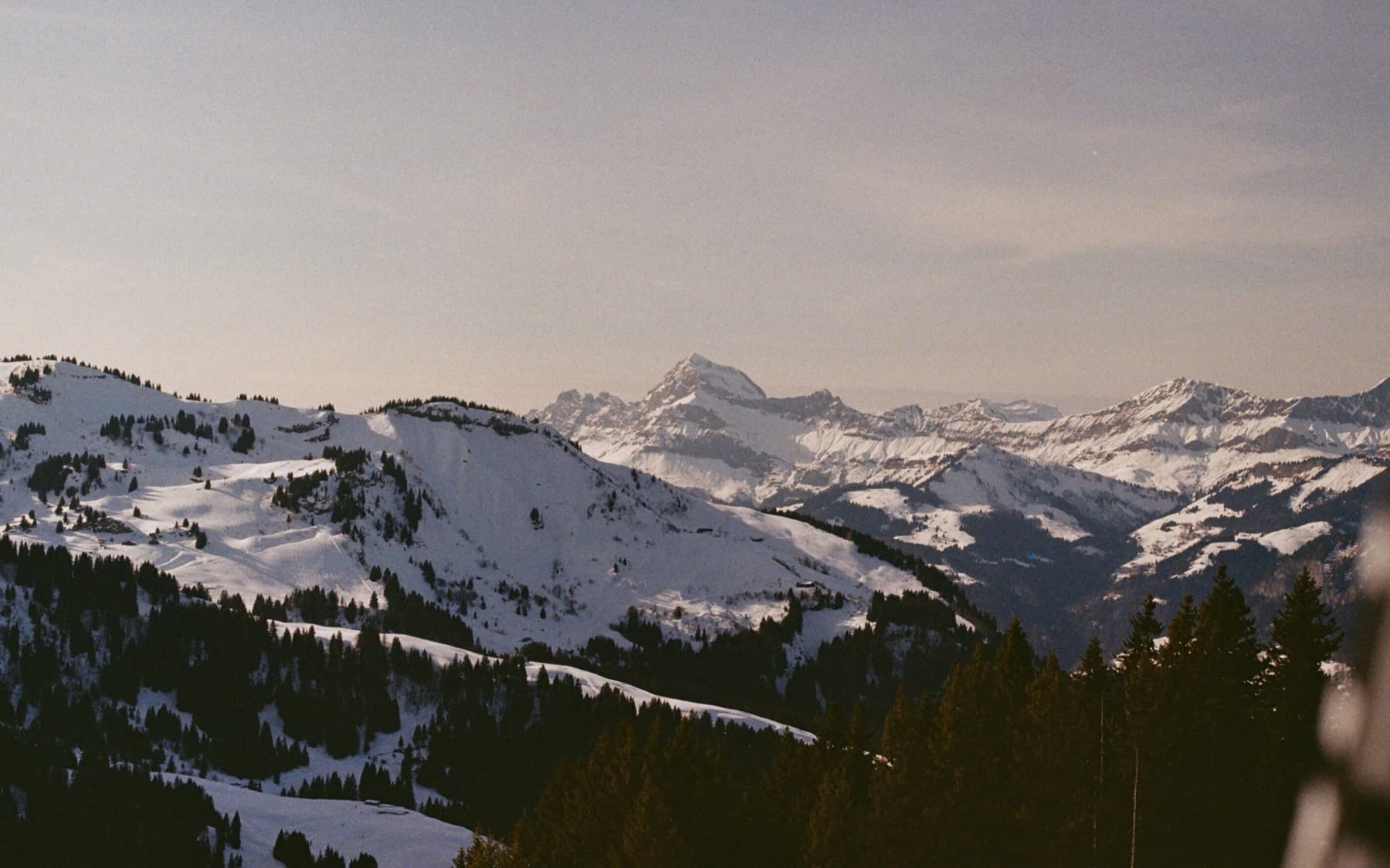 Sweeping view of snow-covered alpine ridges and forested valleys at dusk, with a prominent peak catching the last golden light