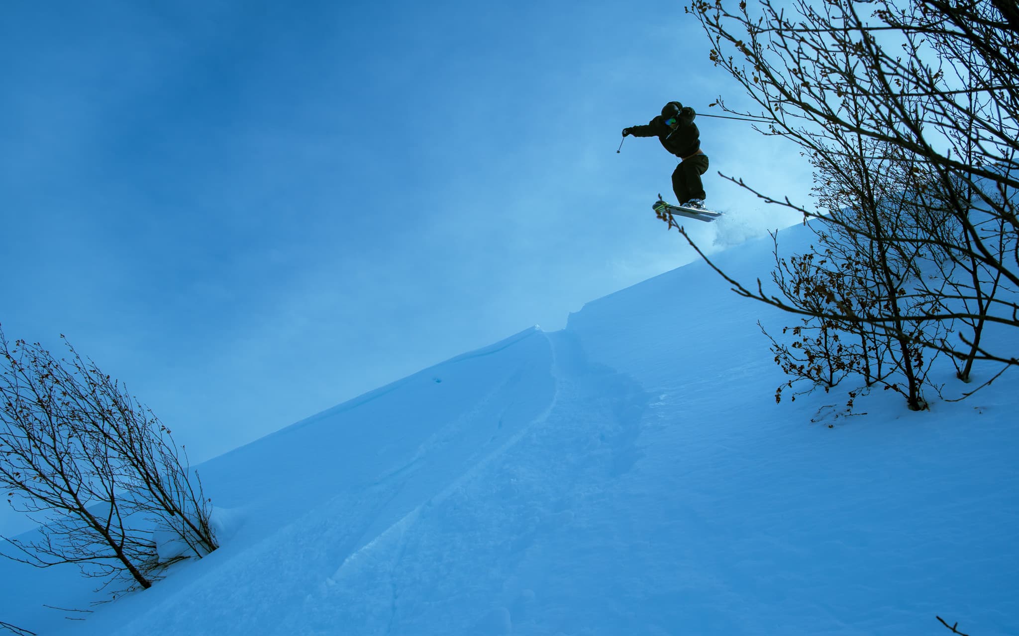 Skier launching off a steep snow bank into the air against a blue sky with bare trees framing the shot
