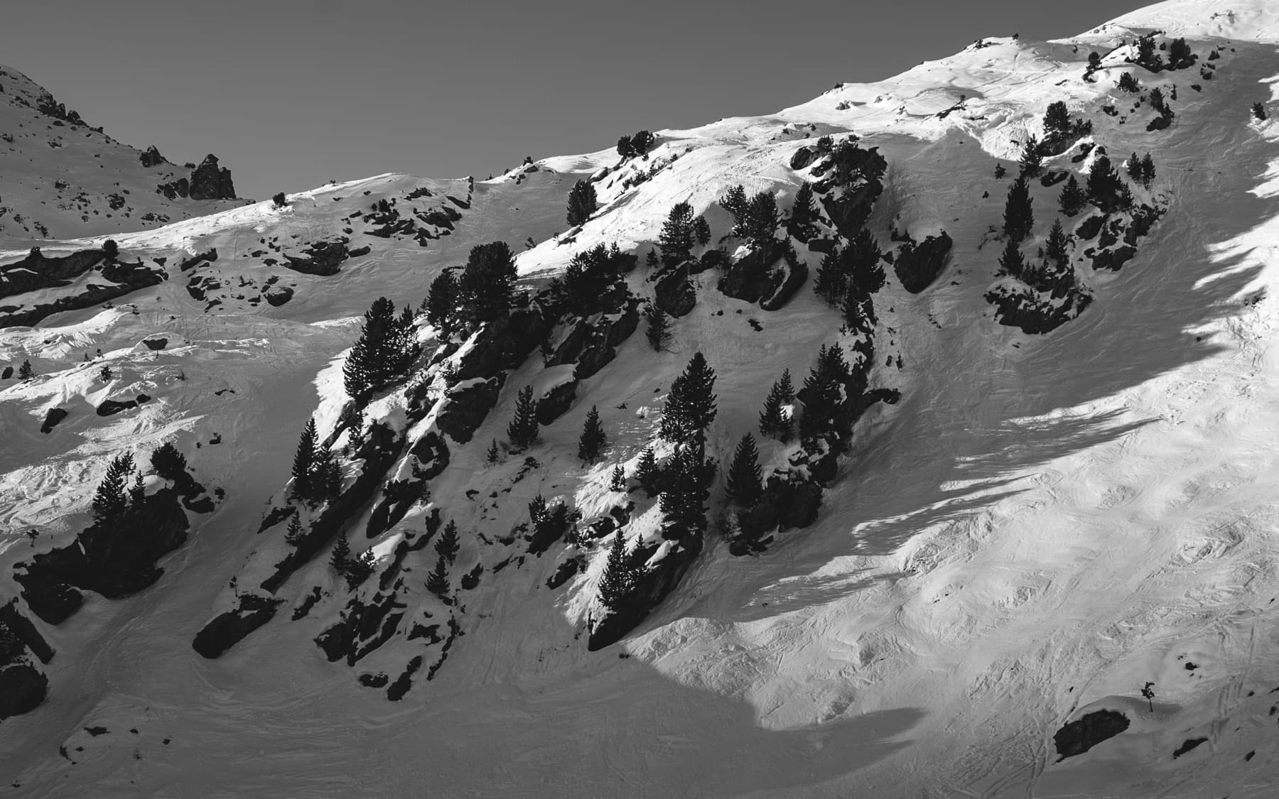 Black and white image of a steep snow-covered alpine slope with scattered pine trees casting long shadows in bright sunlight