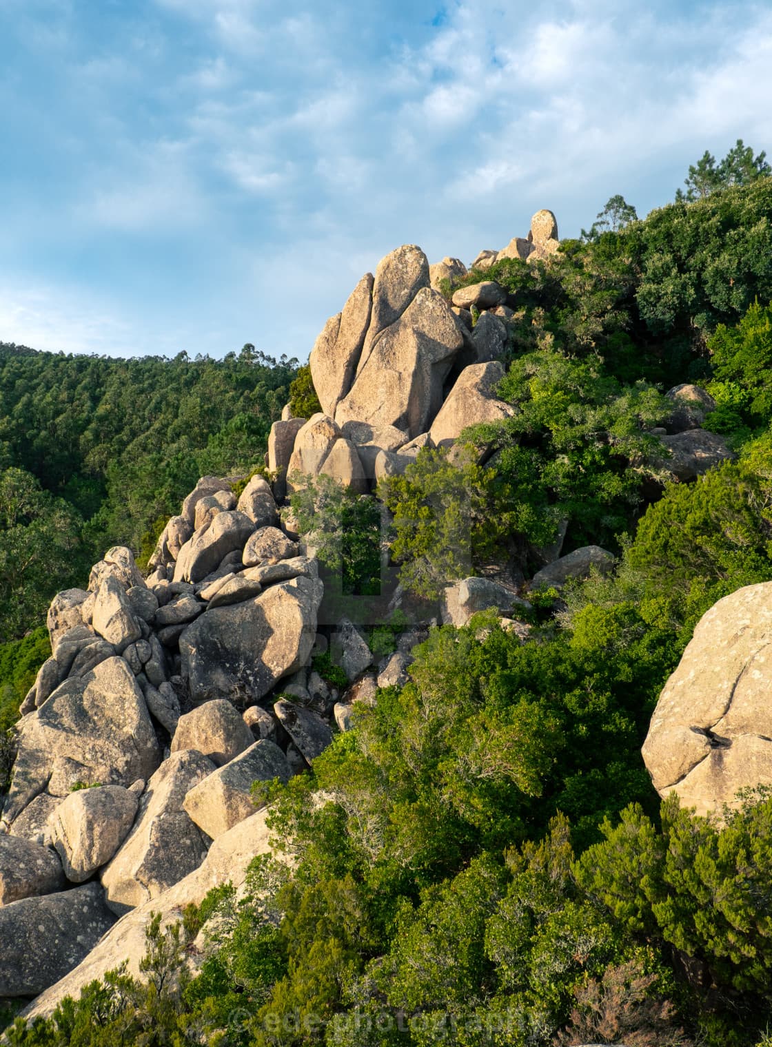 In Between the Green